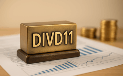 O que é o DIVD11?